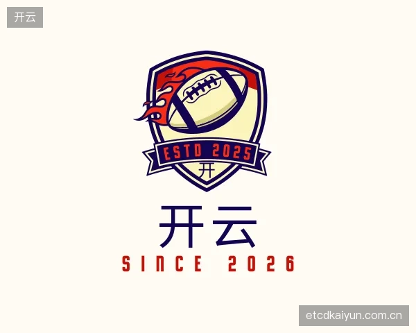 介绍开云机构